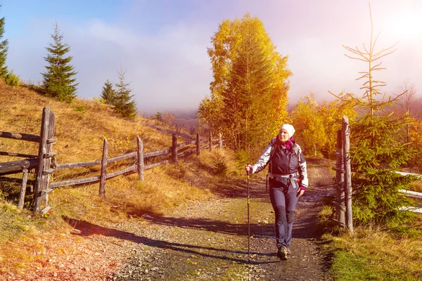 Escursionista donna che cammina sul sentiero nella foresta autunnale — Foto Stock