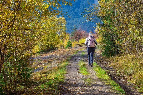 秋の森で経路上を歩いて女性ハイカー — ストック写真