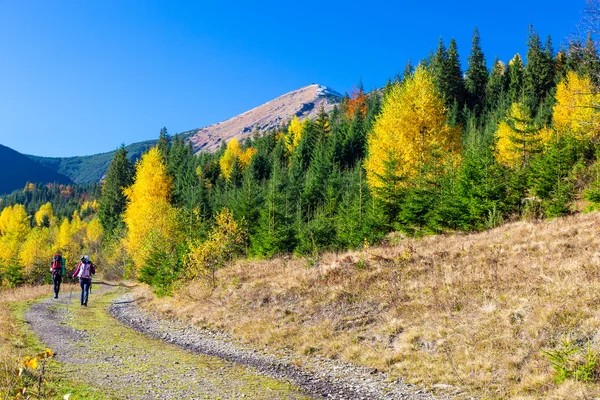 Dos excursionistas caminando por el camino en el bosque otoñal — Foto de Stock