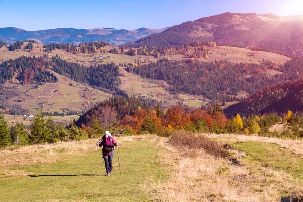 Escursionista donna che cammina sul sentiero nella foresta autunnale — Foto Stock