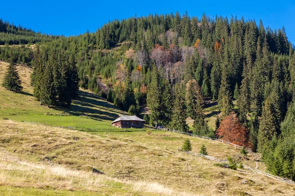 Montanhas com Floresta Outonal e Pastores Cabana de Madeira — Fotografia de Stock