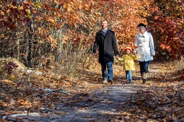 Caminata familiar de dos generaciones en vista frontal del bosque otoñal — Foto de Stock