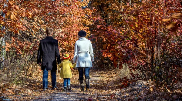 Twee generatie familie wandelen in herfst bos achteraanzicht — Stockfoto