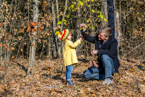 Far leker med lilla Baby dotter i höstlig skog — Stockfoto