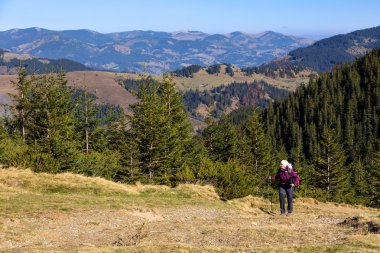 Sonbahar orman yolu üzerinde yürüyen kadın uzun yürüyüşe çıkan kimse