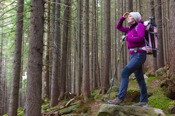 Female Hiker Staying in Deep Old Forest — Stockfoto