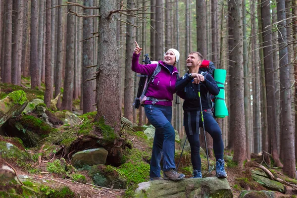 Uomo e donna escursionisti Soggiornare in denso Old Forest Sorridente e Puntando — Foto Stock