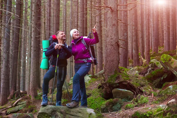 Mannen och kvinnan vandrare i tät gammal skog ler och pekar — Stockfoto