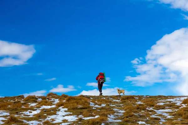 Mann auf Bergwanderung mit Hund blaue Wolken am Himmel — Stockfoto