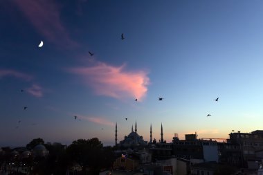 Twilight urban View of historical District of Istanbul City with Sea Gulls