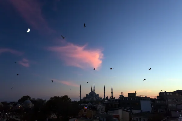 Crepúsculo urbano Vista do histórico Bairro da Cidade de Istambul com Gaivotas Marinhas — Fotografia de Stock