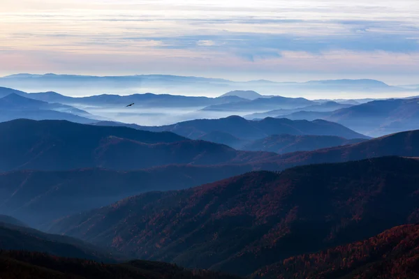 Montanhas Vista com muitas gamas de nevoeiro empilhadas e pássaro — Fotografia de Stock