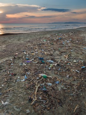 Okyanusların kirliliği: Plastik çöp ve diğer atık sahilde