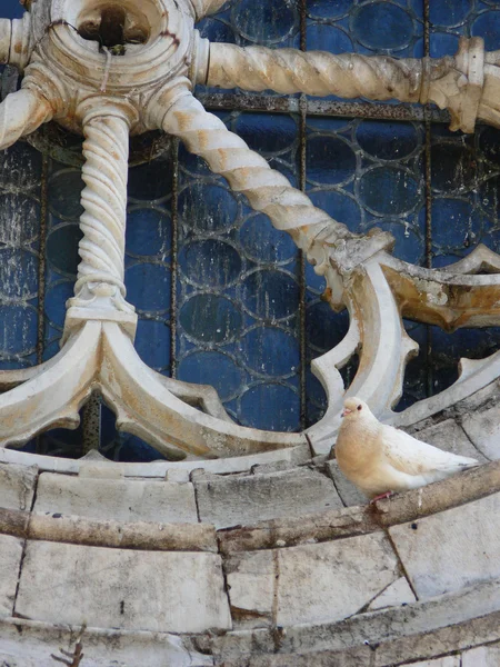 罗马式教会的老玫瑰窗口与鸽子 — 图库照片