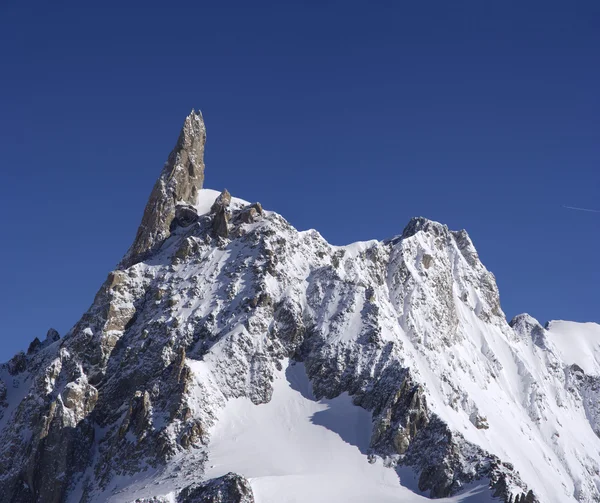 Dente Del Gigante Giant Thooth — Zdjęcie stockowe