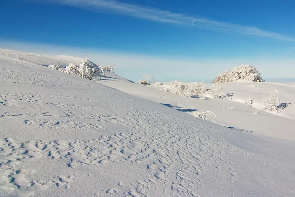 Arazi mavi gökyüzü altında buzlu — Stok fotoğraf
