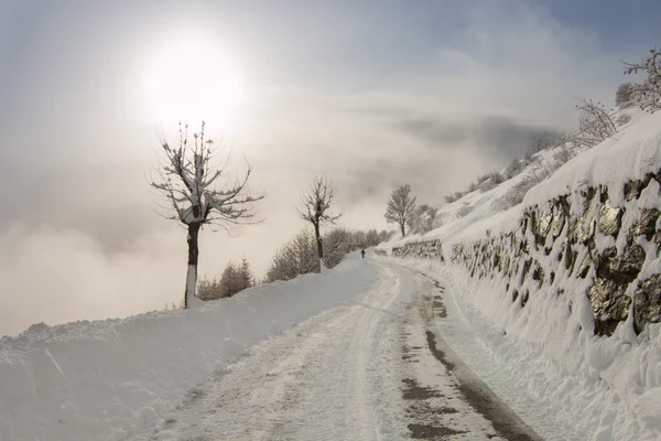 Buzlu yol — Stok fotoğraf