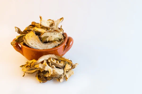 Suché houby v malém šálku hnědá keramika — Stock fotografie