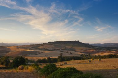 fields of tuscan maremma near saturnia italy clipart