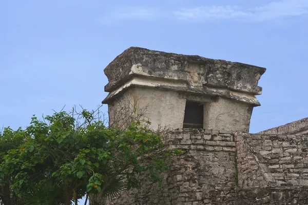 Tulum detalhe do Templo do Deus Descendente — Fotografia de Stock