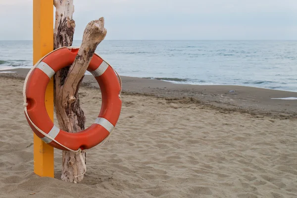 Turuncu lifebuoy kuru ölü gövde bir plajda asılı — Stok fotoğraf