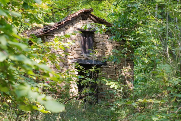 Старый заброшенный коттедж в лесу — стоковое фото