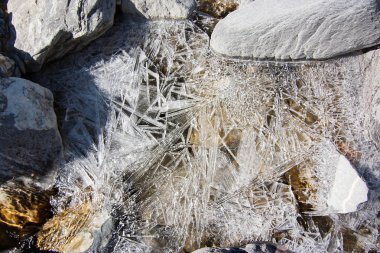 long tinh ice crystals creating a texture on the surface of a mo