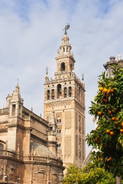 Giralda çan kulesi Seville Katedrali ve portakal