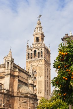 Giralda bell tower of the Cathedral of Seville and oranges clipart
