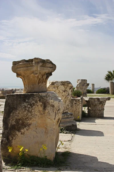 Ruins of Carthage — Stock Photo, Image