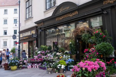 Avusturya, Viyana 'da Stephansplatz' da bir çiçekçi.
