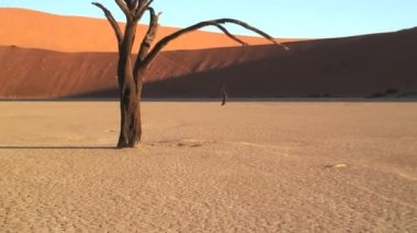 Deadvlei Namib Çölü