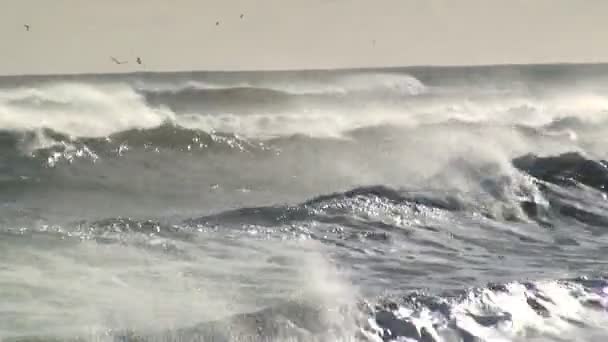 Mouvement d'onde puissant — Video