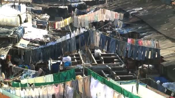 Tradycyjne pralni w Indiach — Wideo stockowe