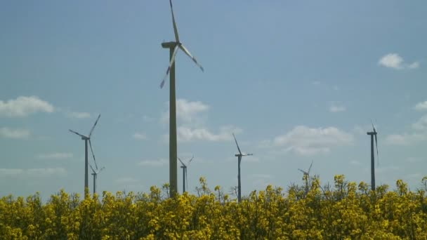 Turbinas eólicas no campo — Vídeo de Stock