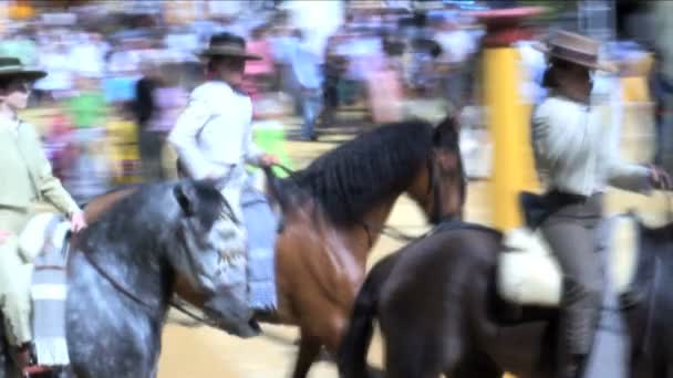 Paard mannen in Jerez — Stockvideo