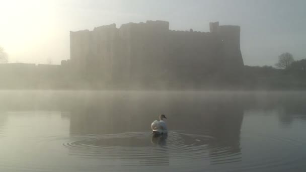 Carew Castle Galler — Stok video