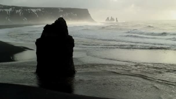 Stack en het strand van zwarte lava — Stockvideo