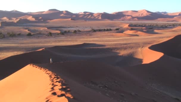 Tourist on a sand dunes — Stock Video