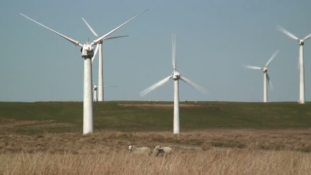 Wind Farm, Newtown — стоковое видео