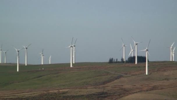 Wind Farm, Newtown — стоковое видео