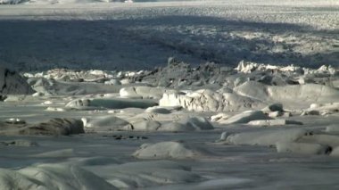 Dondurulmuş Deniz Seals