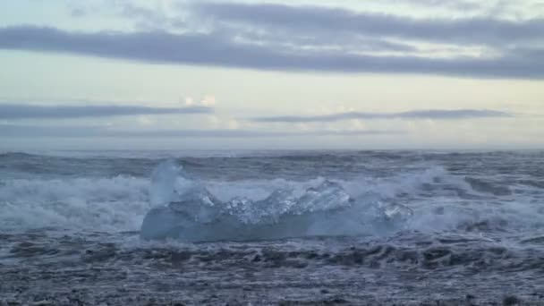 Hielo marino congelado — Vídeos de Stock