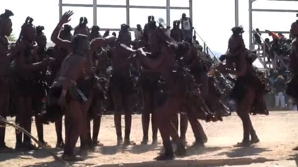 Girls of Himba Tribe dancing — Stock Video