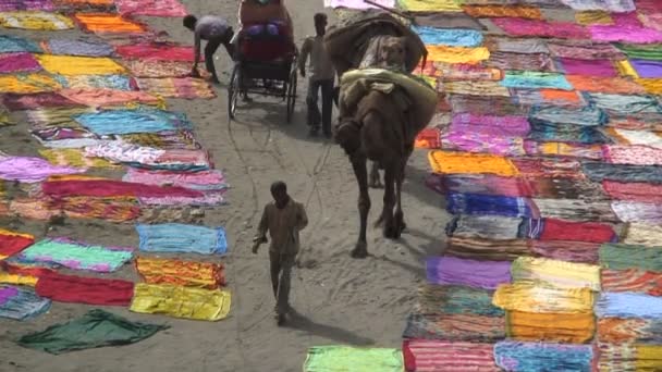 Secado Saris después del lavado — Vídeo de stock