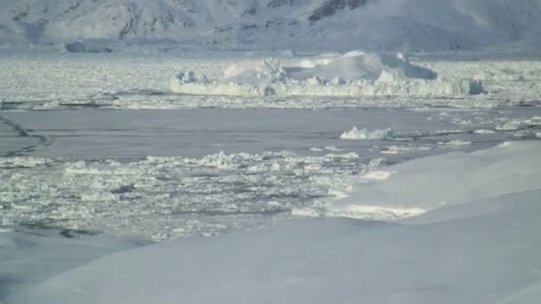Gece karanlığında deniz buz dondurulmuş — Stok video