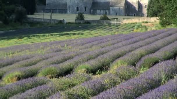 Abbaye de Senanque en France 