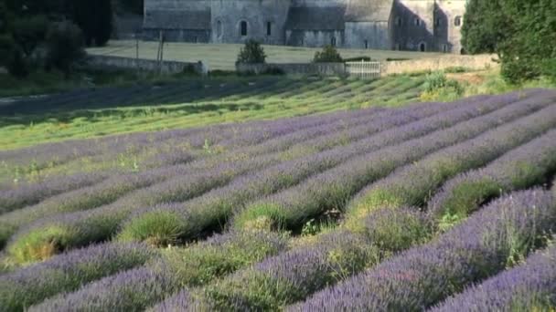 Abbey Senanque ve Francii — Stock video