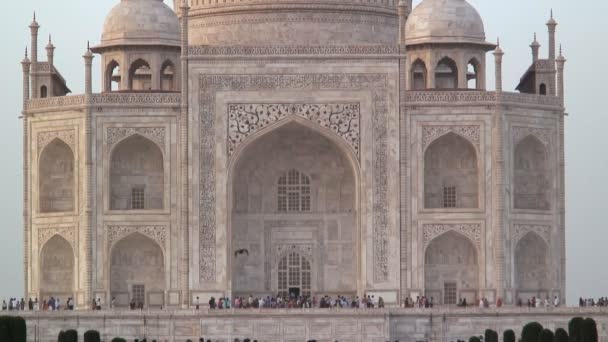 Taj Mahal mausoleum — Stockvideo