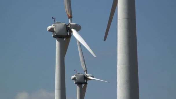 Windpark, Newtown — Stockvideo